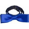 Cobalt blue bow tie
