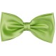 Light green bow tie