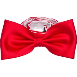 Red bow tie